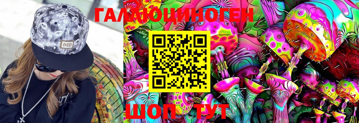 Псилоцибиновые грибы Magic Shrooms Курчалой